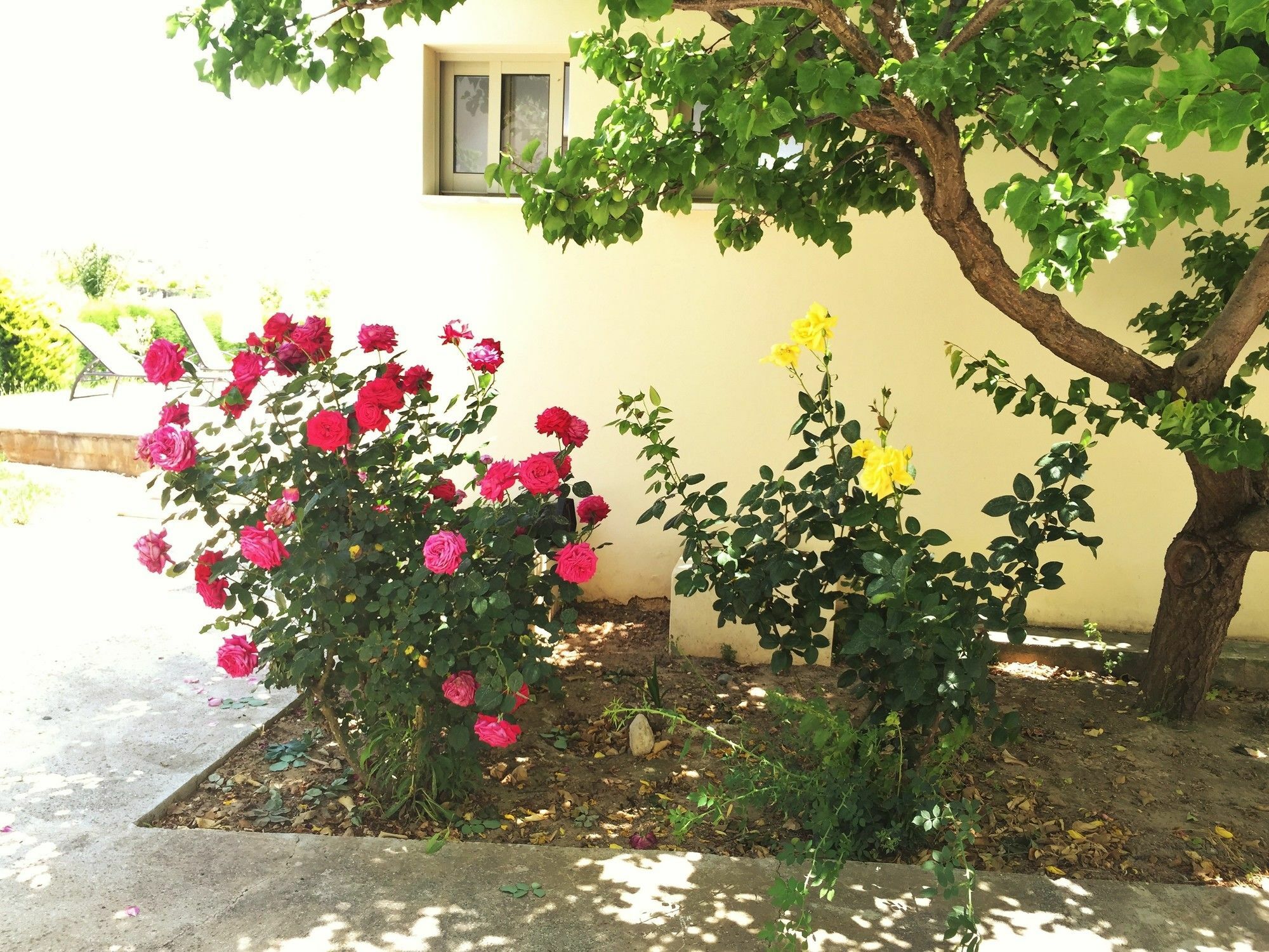 Himonas Apartments Pissouri Exteriér fotografie